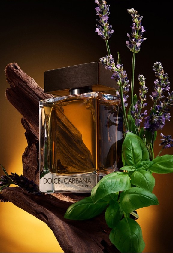 Dolce&Gabbana The One for Men Eau de Toilette for Men | DG® US