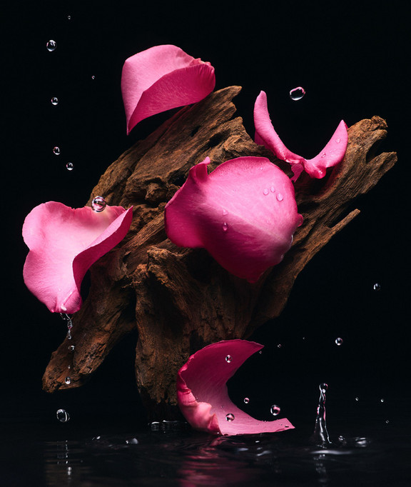 Velvet Tender Oud Eau de Parfum Unisex by Dolce&Gabbana Beauty