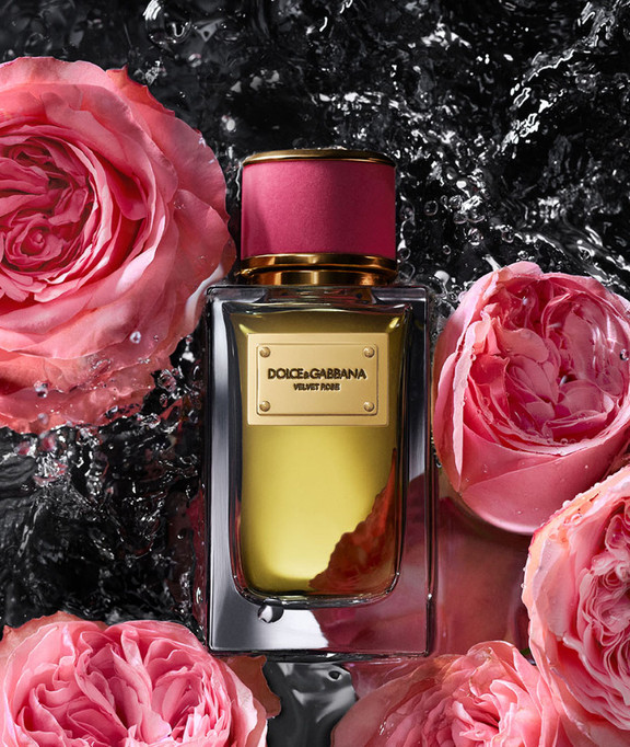 Women s Velvet Rose Eau de Parfum by Dolce Gabbana Beauty