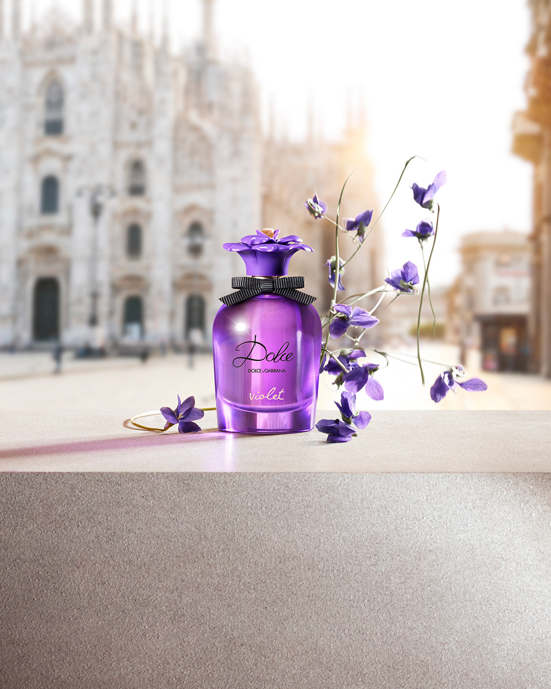 Dolce and on sale gabbana purple perfume