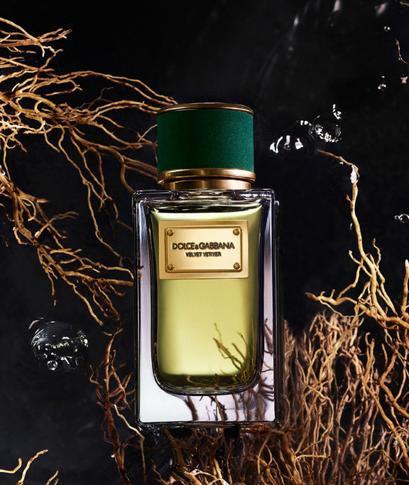 Velvet Vetiver Eau de Parfum Unisex by Dolce&Gabbana Beauty shop