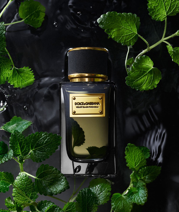 Dolce & shops gabbana velvet patchouli