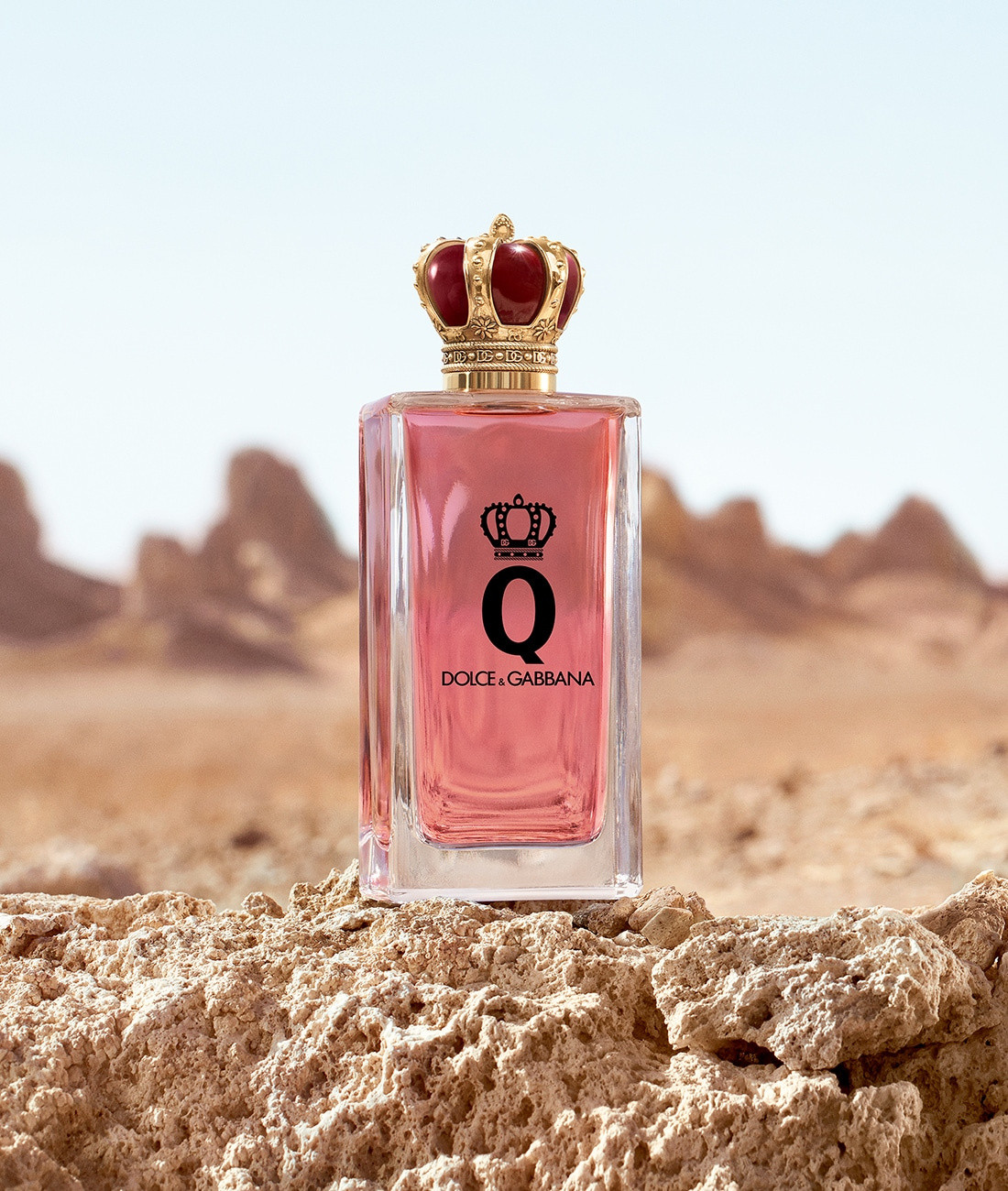 King dolce outlet gabbana fragrance