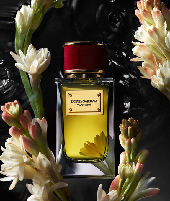 Dolce and gabbana perfume desire online